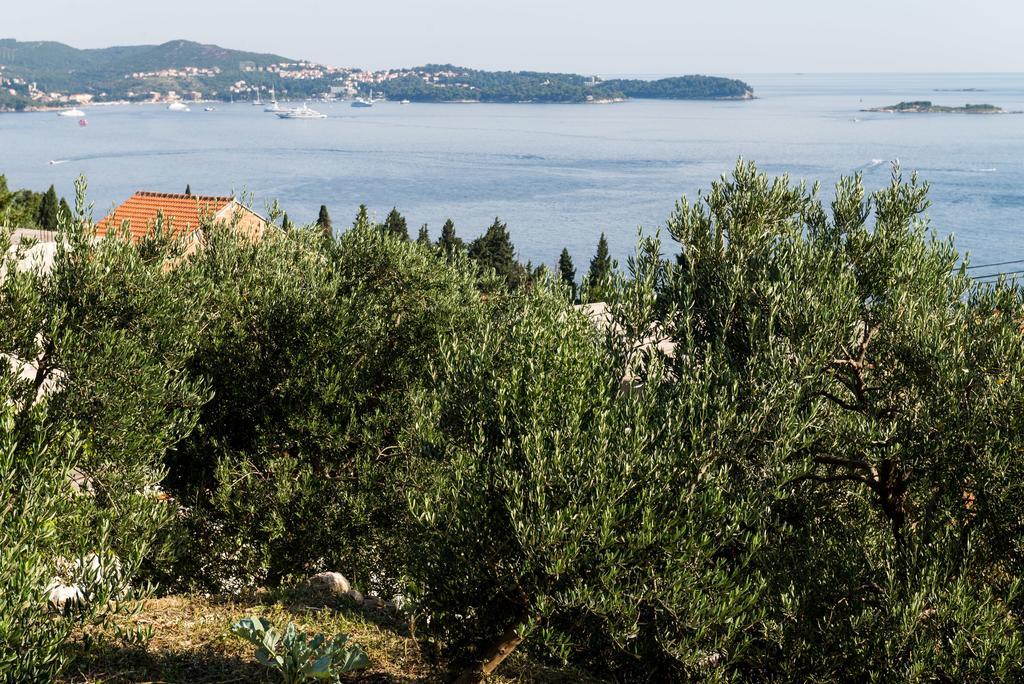 Apartments Olive Mlini Εξωτερικό φωτογραφία