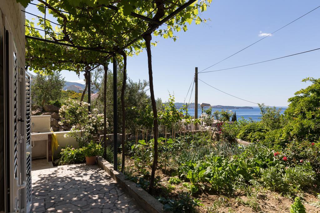 Apartments Olive Mlini Εξωτερικό φωτογραφία